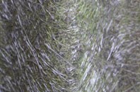 Morton Bagot fibreglass roof work